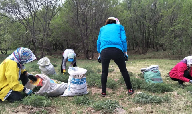 1562828321454911.png blob.png