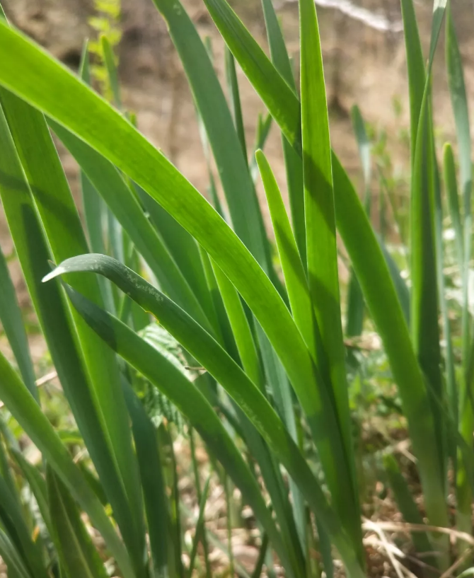 1562828365192543.png blob.png