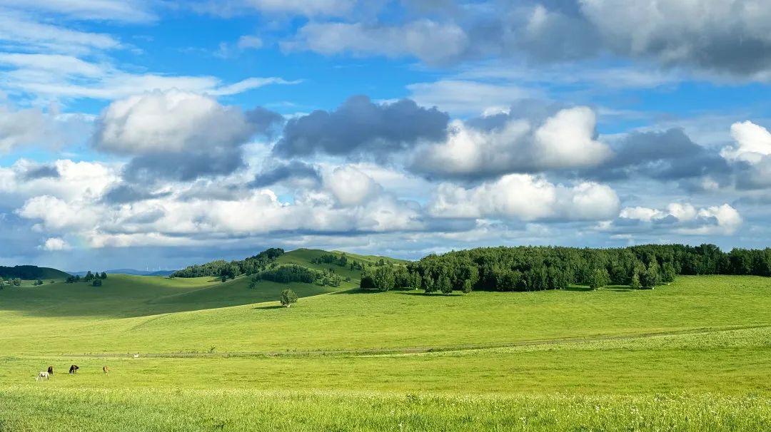 1719369276240058.jpg 640.jpg