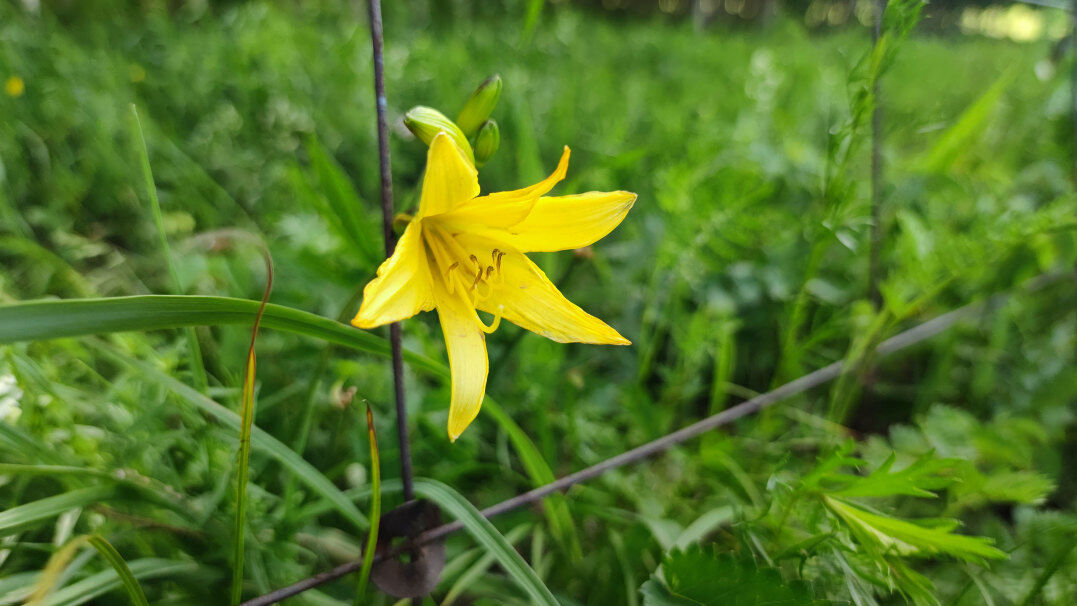 1719369290516287.jpg 640 (2).jpg