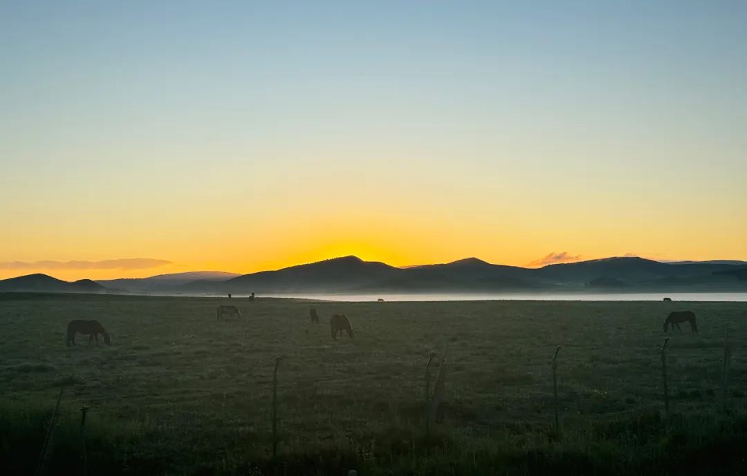 1719369295490849.jpg 640 (3).jpg