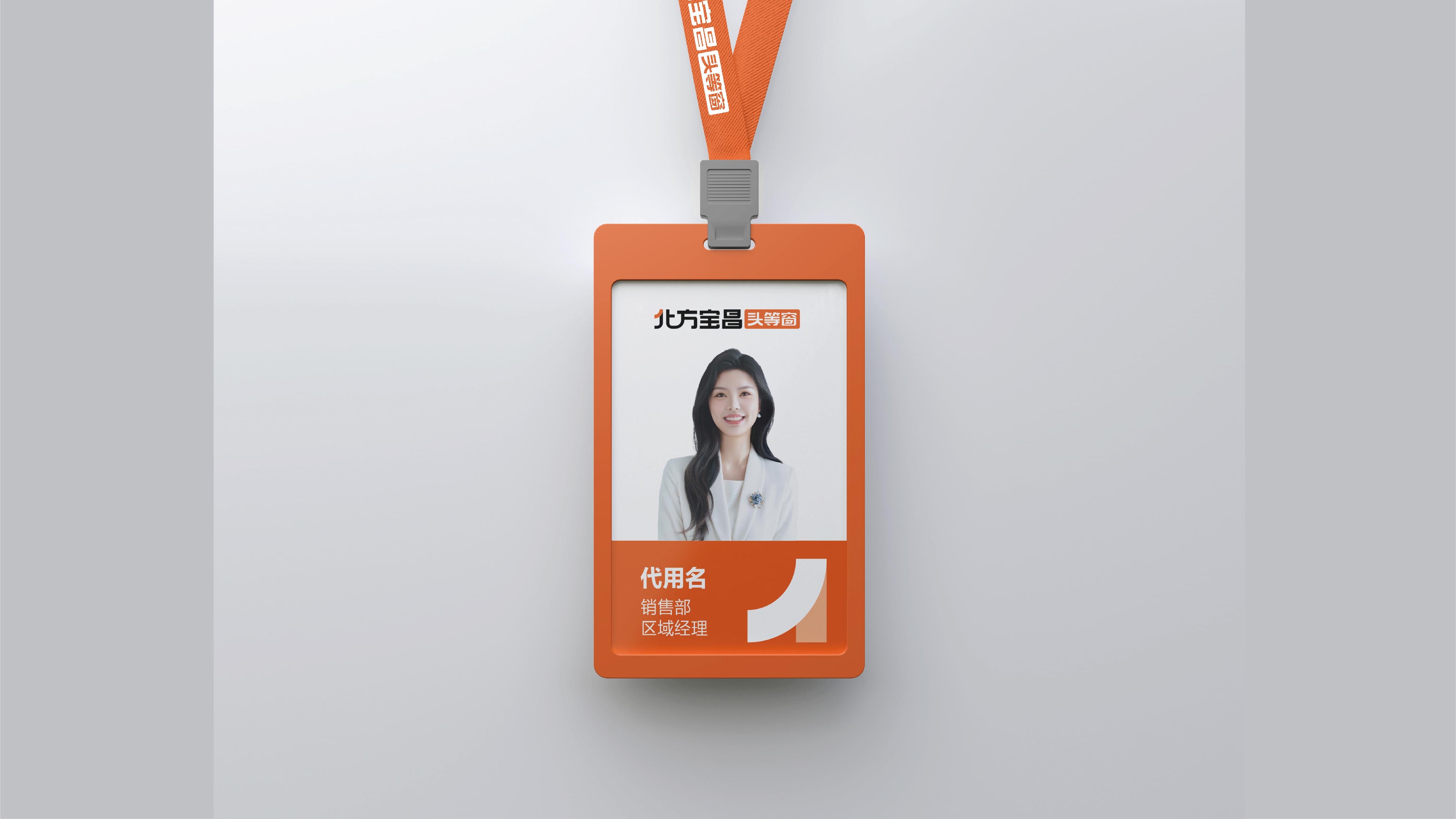 北方寶昌VIS展示