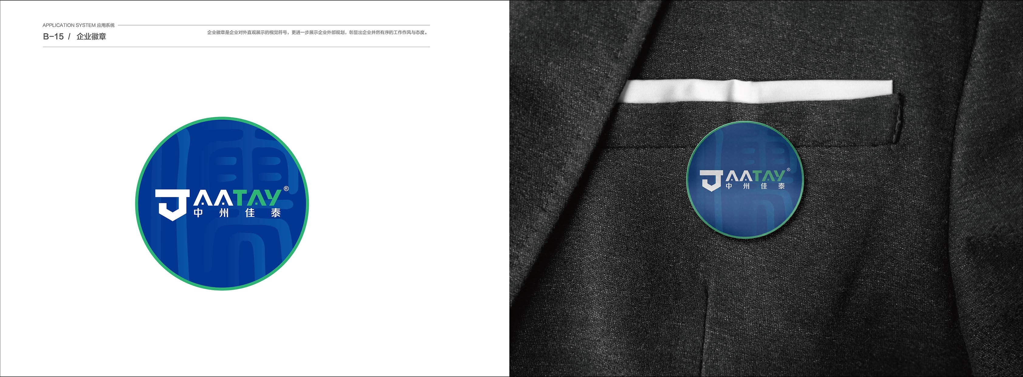 中州佳泰VIS展示