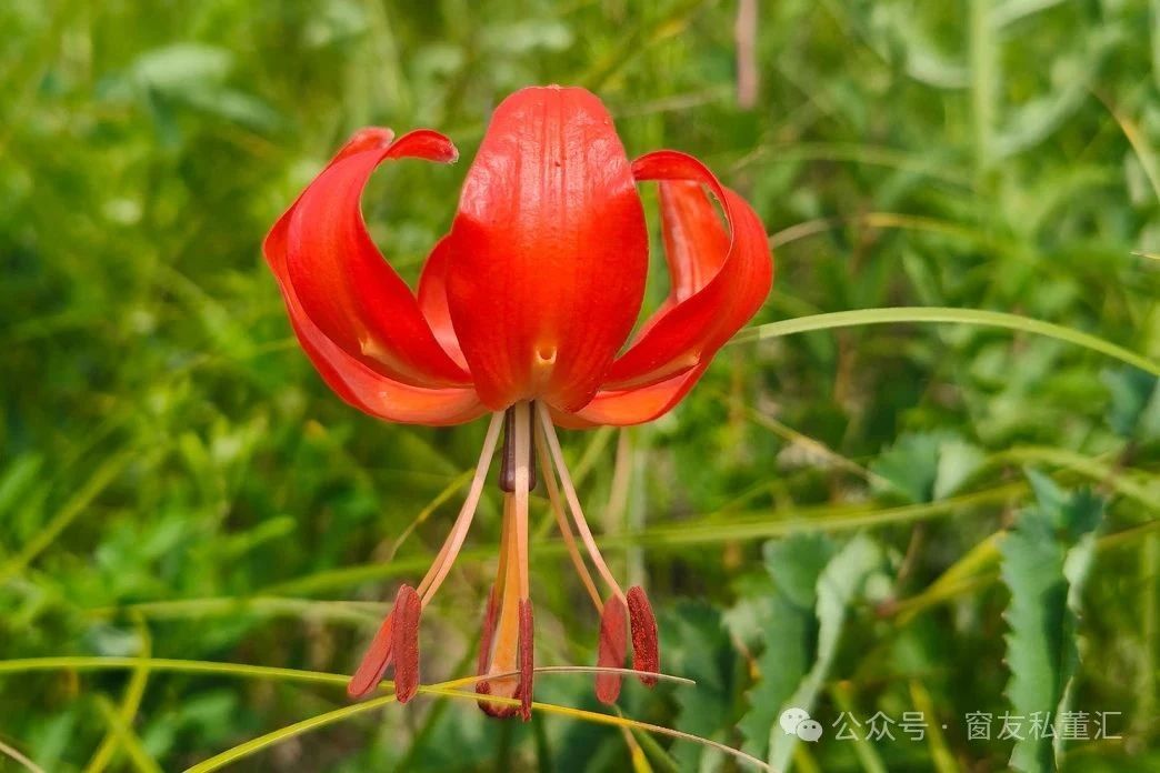 1751592698628122.jpg 微信圖片_20250704092739.jpg