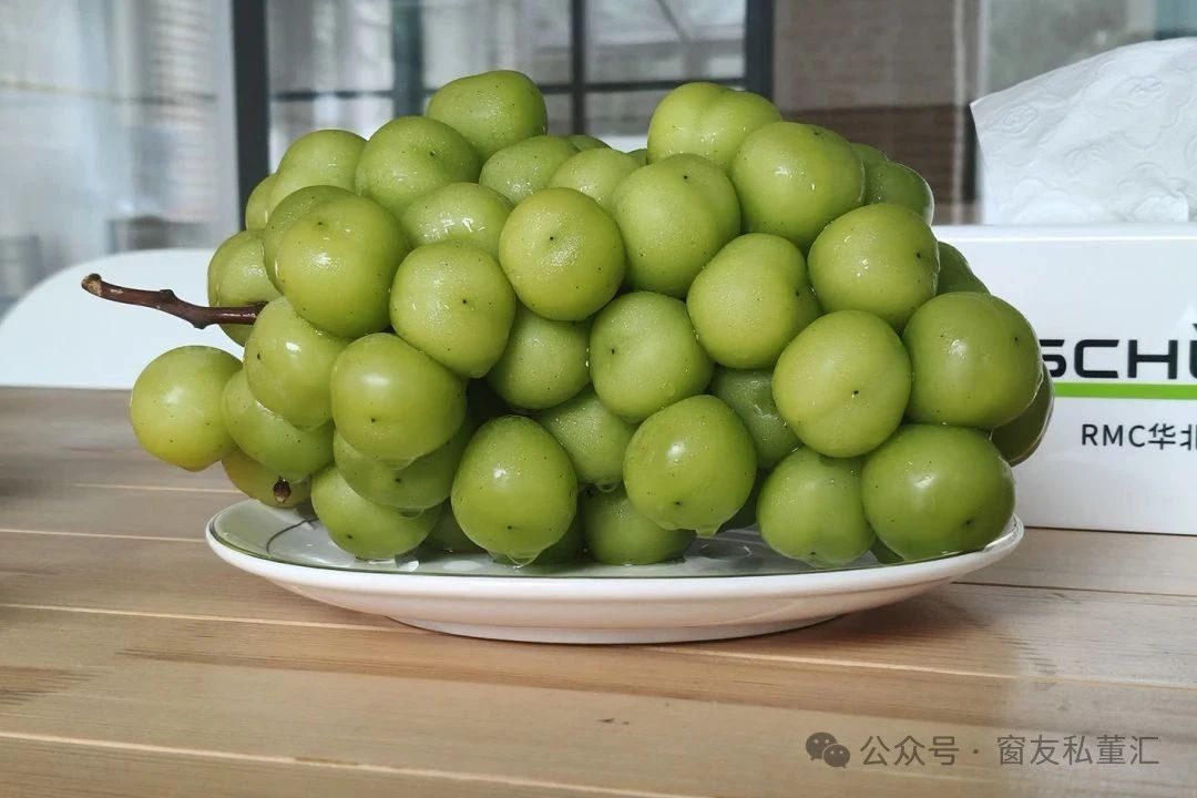 1755768446120078.jpg 微信圖片_20250821172410.jpg