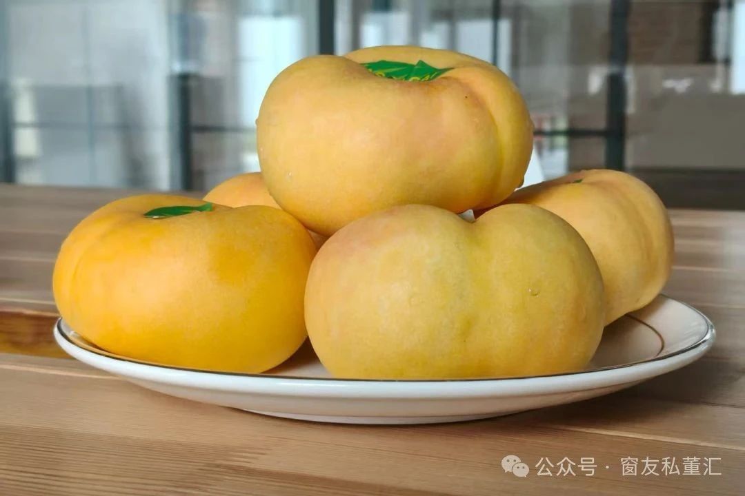 1755768456557762.jpg 微信圖片_20250821172415.jpg