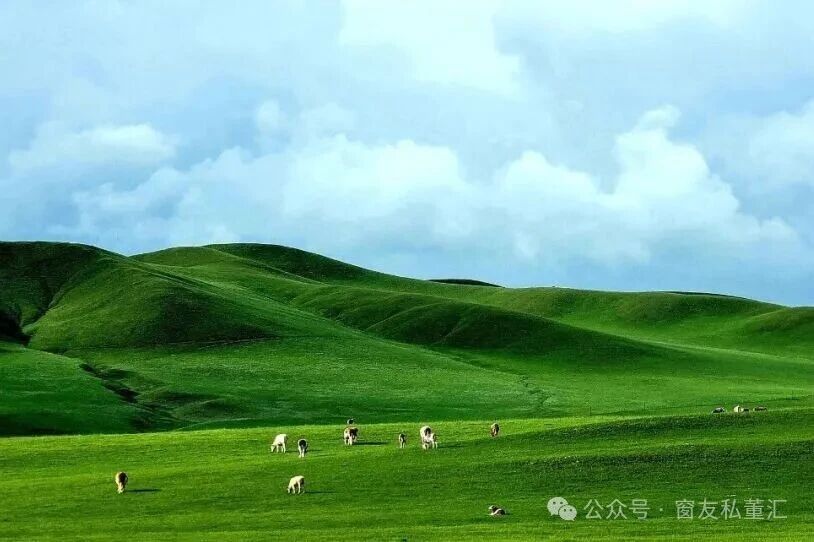 1756780527730455.jpg 微信圖片_20250902103235.jpg